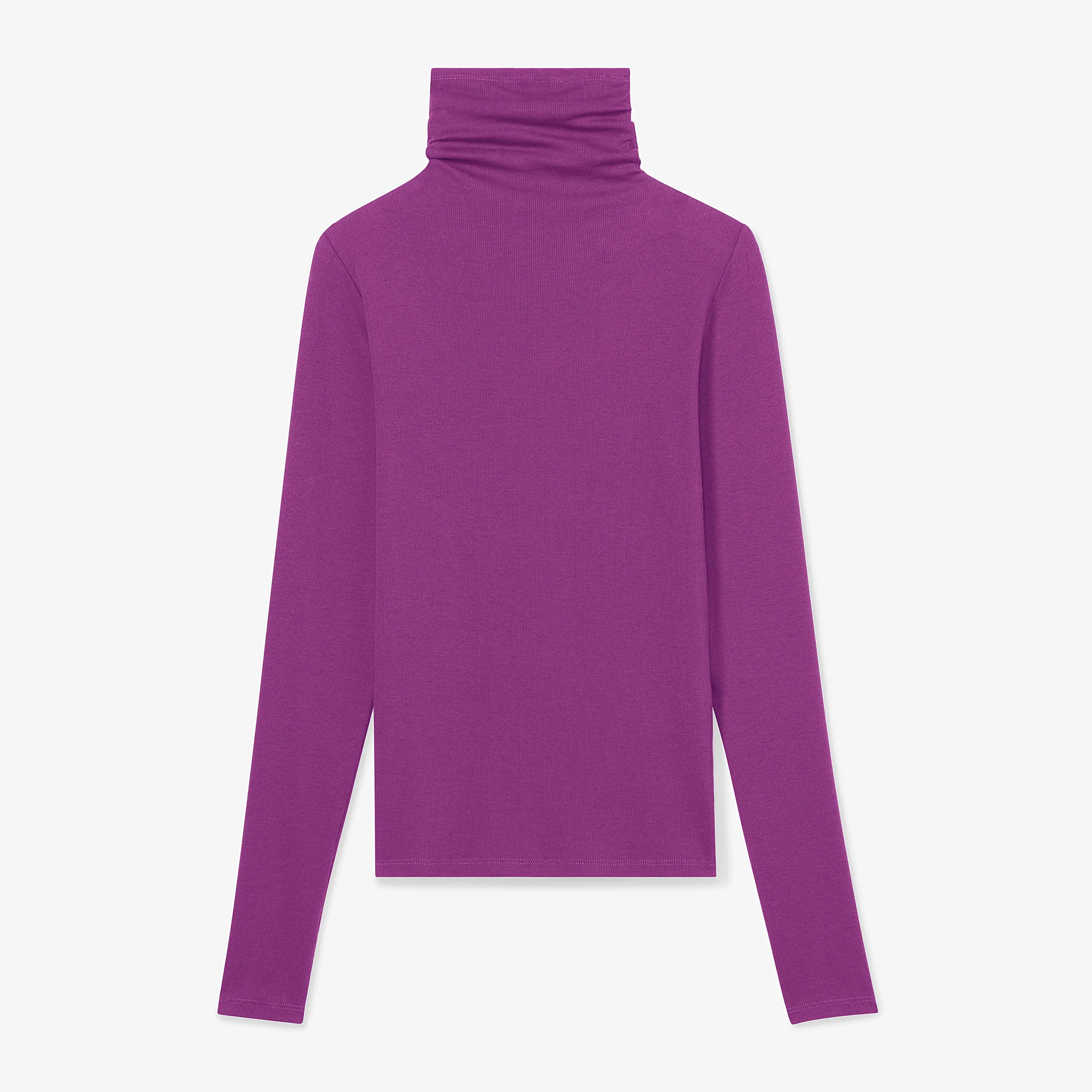 Axam Turtleneck - Ribbed Pima Cotton :: Purple Jasper